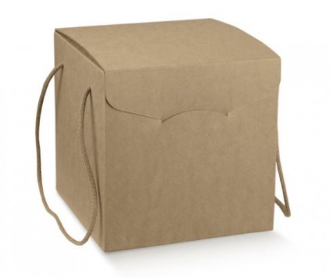 SCATOLA PER PANETTONE DA KG.1 AVANO