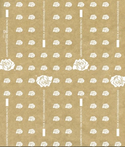 CARTA ANTIGRASSO AVANA GR.70 50X75 10KG